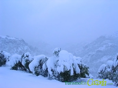 Temporal de Frío y Nieve en la Sierra de Cazorla
