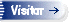 Visitar p&aacute;gina