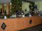Bar El Ma�o