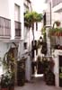 Calle Adentro - Quesada