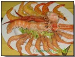 plato4.jpg