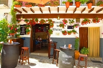 Mes&oacute;n Rural Rinc�n de Victor