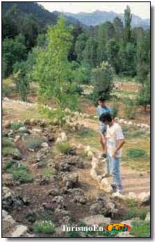 Jard&iacute;n Bot&aacute;nico Torre del Vinagre