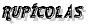 Rup&iacute;colas