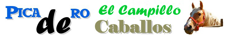 Bienvenido al Picadero El Campillo