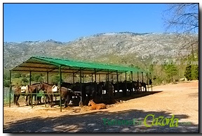 Vista del picadero