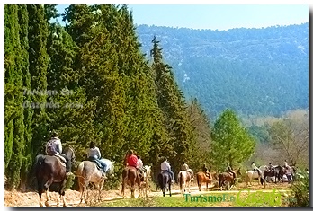 Vista del Picadero
