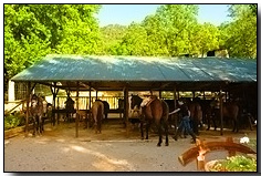 Vista del Picadero