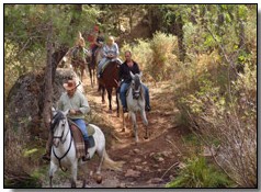 Jinetes en la ruta