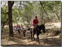 Ruta por la Sierra de Cazorla