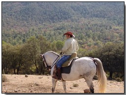 Caballo blanco