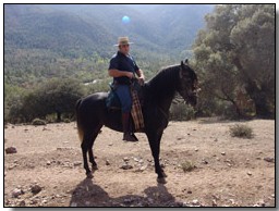Jinete a Caballo