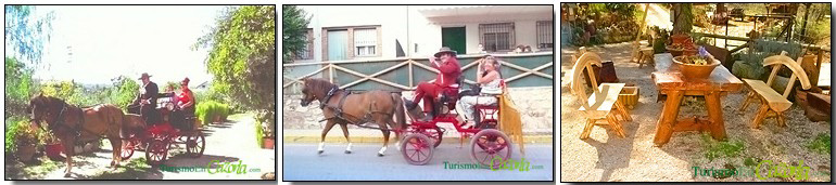 Se vende: caballo y enganche. Se venden maceteros y sillas de Madera Natural