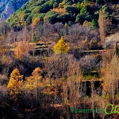 Noviembre en la Sierra de Cazorla