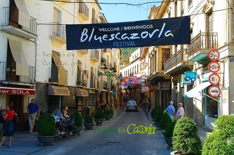 blues-cazorla-2013.jpg