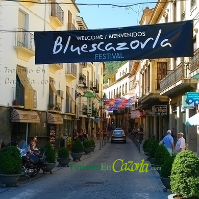 blues-cazorla-2013.jpg