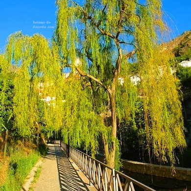 Paseo del Río Cerezuelo en Cazorla