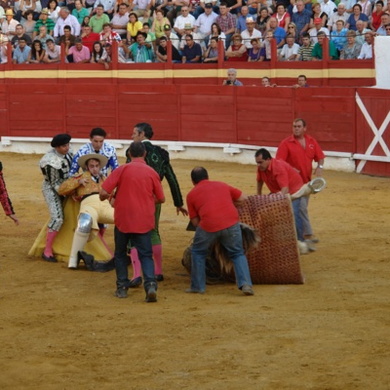 Toros en la Feria de Cazorla 2011