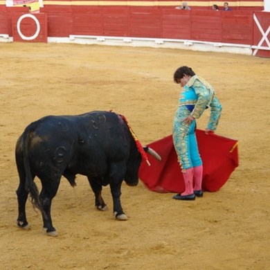 Toros en la Feria de Cazorla 2011