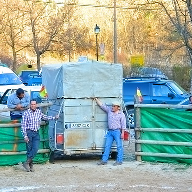 Gran Novillada en Arroyo Frío 2012