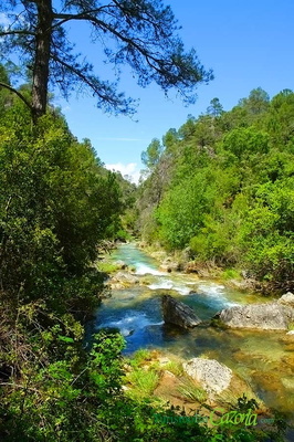 Río Borosa en la Sierra de Cazorla