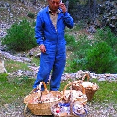Un día de Setas en la Sierra de Cazorla