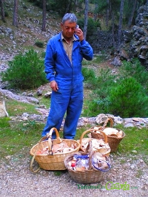 Un día de Setas en la Sierra de Cazorla