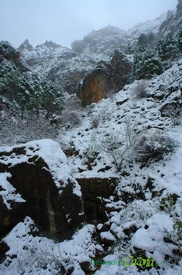 NacelRío nevado