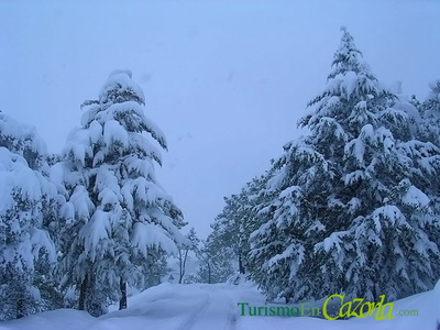 Gran nevada en la Sierra de Cazorla