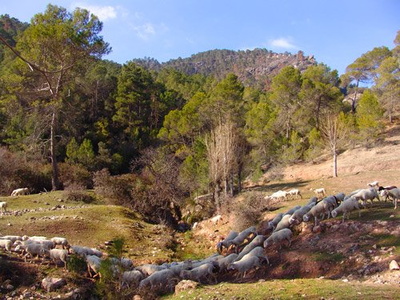 Rincones de la Sierra de Cazorla, Segura y las Villas