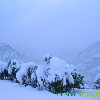 Temporal de Frío y Nieve en la Sierra de Cazorla