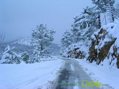 Nieve, mucha nieve en la Sierra de Cazorla