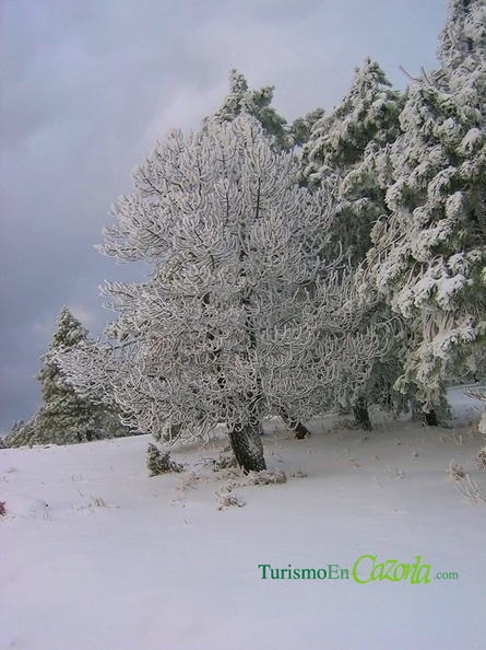 sierra-cazorla-nieve-diciembre-2008-1.jpg