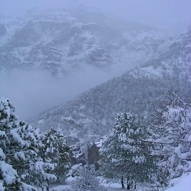 Temporal de Frío y nieve en la Sierra de Cazorla