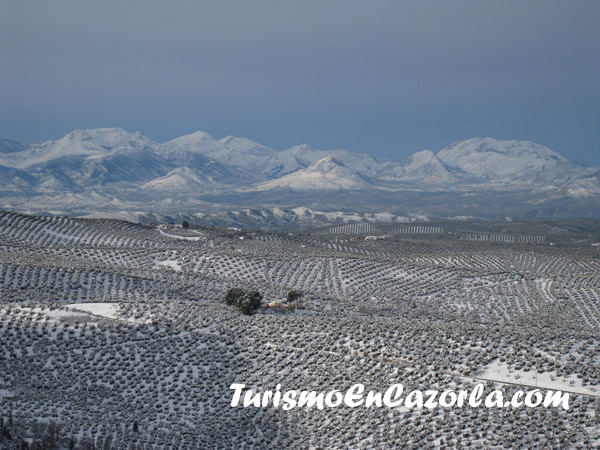 cazorla-nevada-enero-2010-14.jpg
