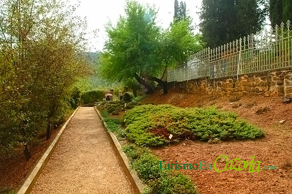 jardinbotanico-31.jpg