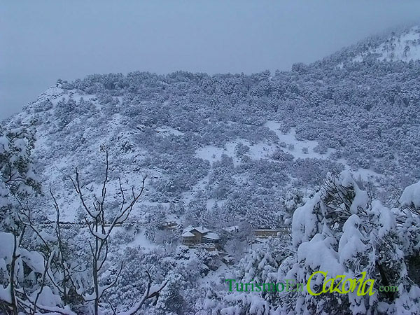 nevada-calerilla-cazorla.jpg