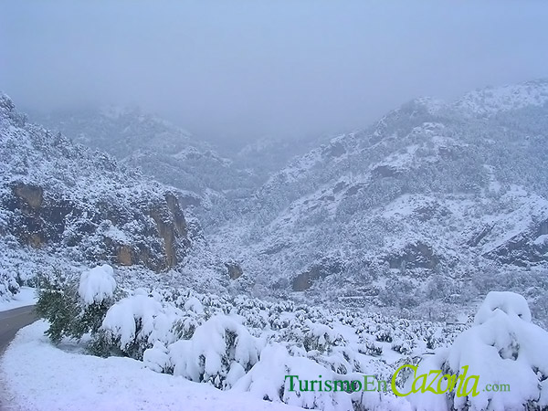 sierra-cazorla-enero-nieve.jpg