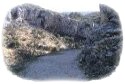 Rutas