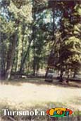 foto FINCA en la Sierra de Cazorla