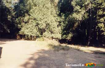 Foto de la finca