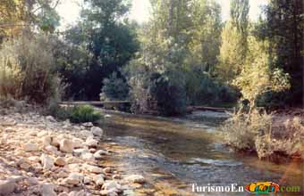 Foto de la finca