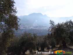 Vendo: Finca de Olivos con Riego en Cazorla 
