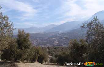Foto de la finca