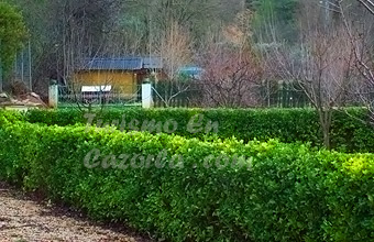 Foto finca