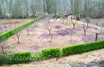 Foto finca