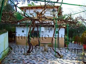 foto Finca en San Isicio de Cazorla