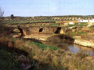 Puente Mocho