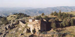 Romería de la Virgen de Montesión