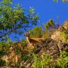 Casa Fuente la Argamasa